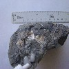 image of Figure 13